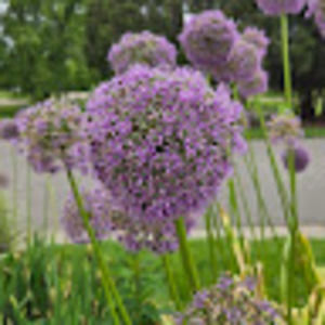 Meet your Posher, Jen